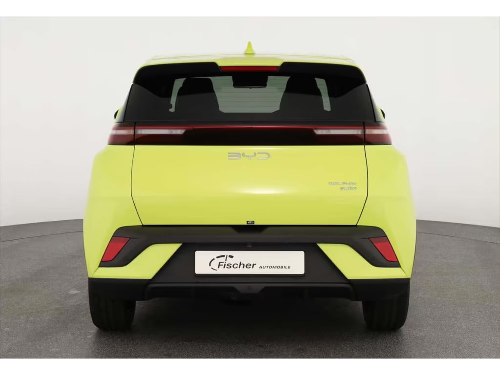 BYD Dolphin Surf