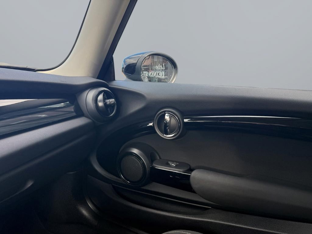 Mini Mini Electric