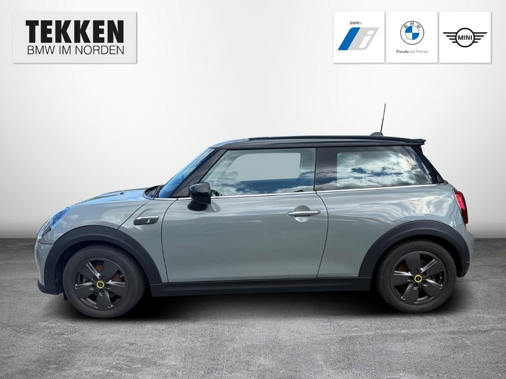 Mini Mini Electric
