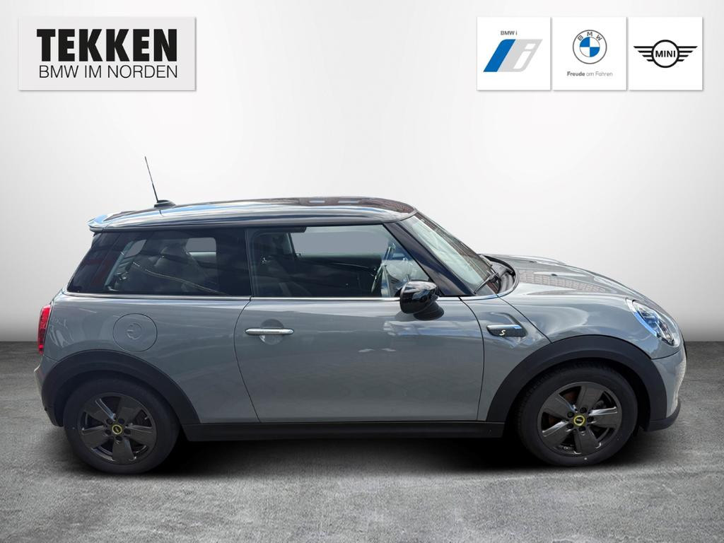 Mini Mini Electric