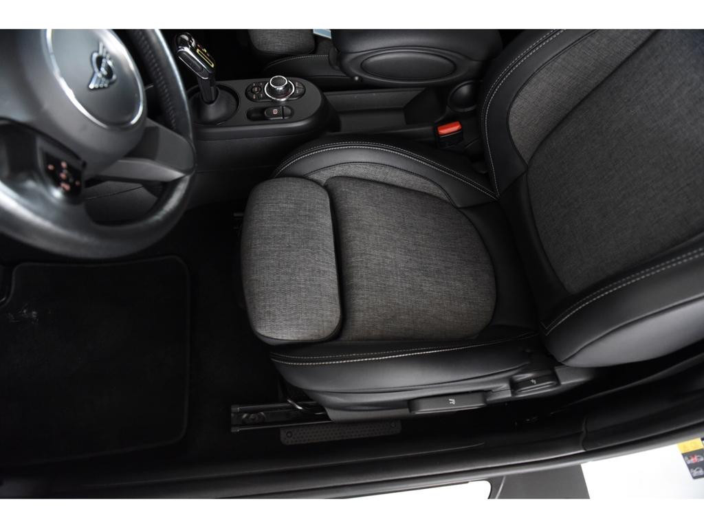 Mini Mini Electric