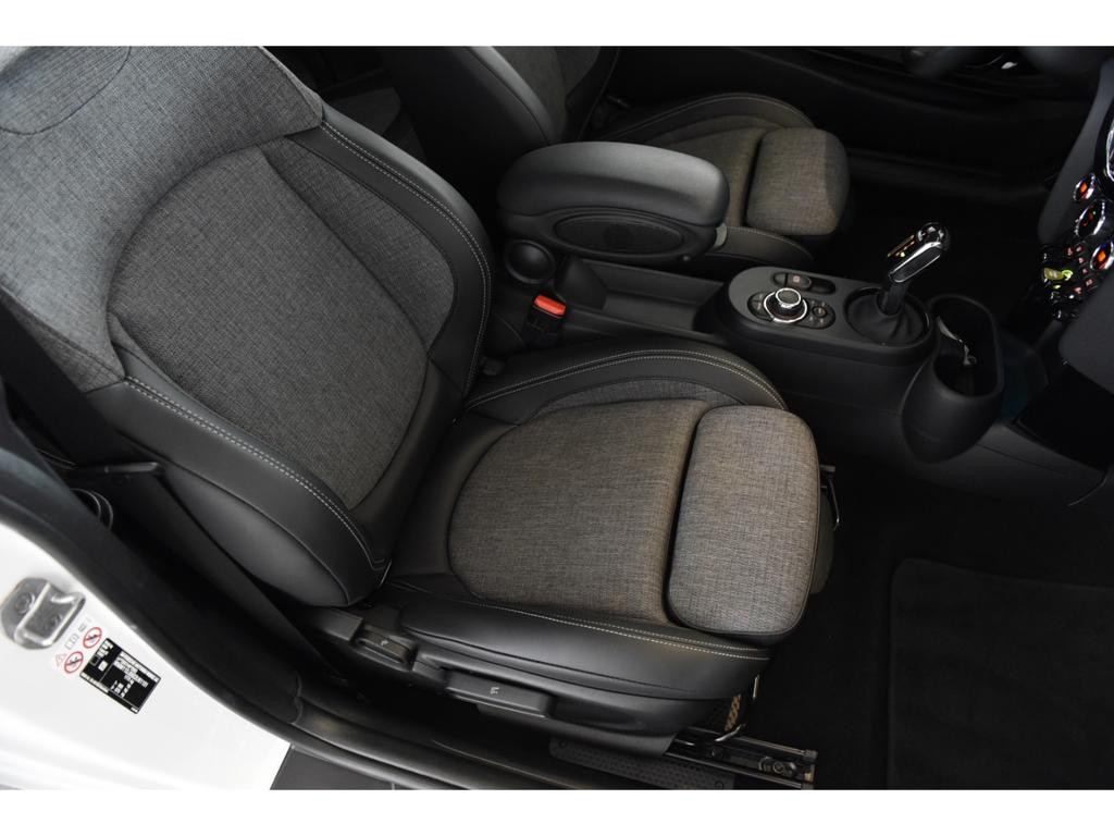 Mini Mini Electric