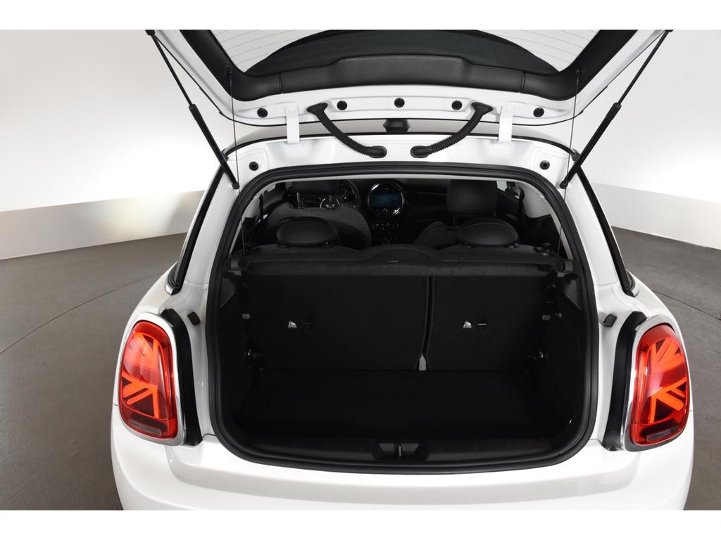 Mini Mini Electric