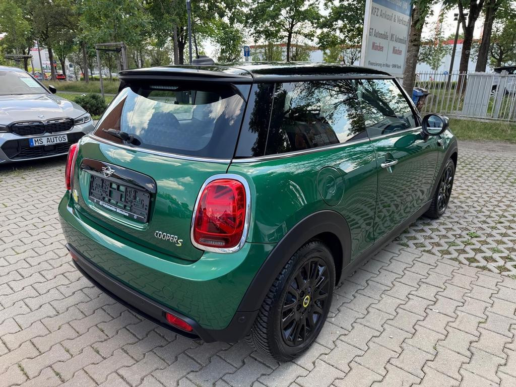 Mini Mini Electric