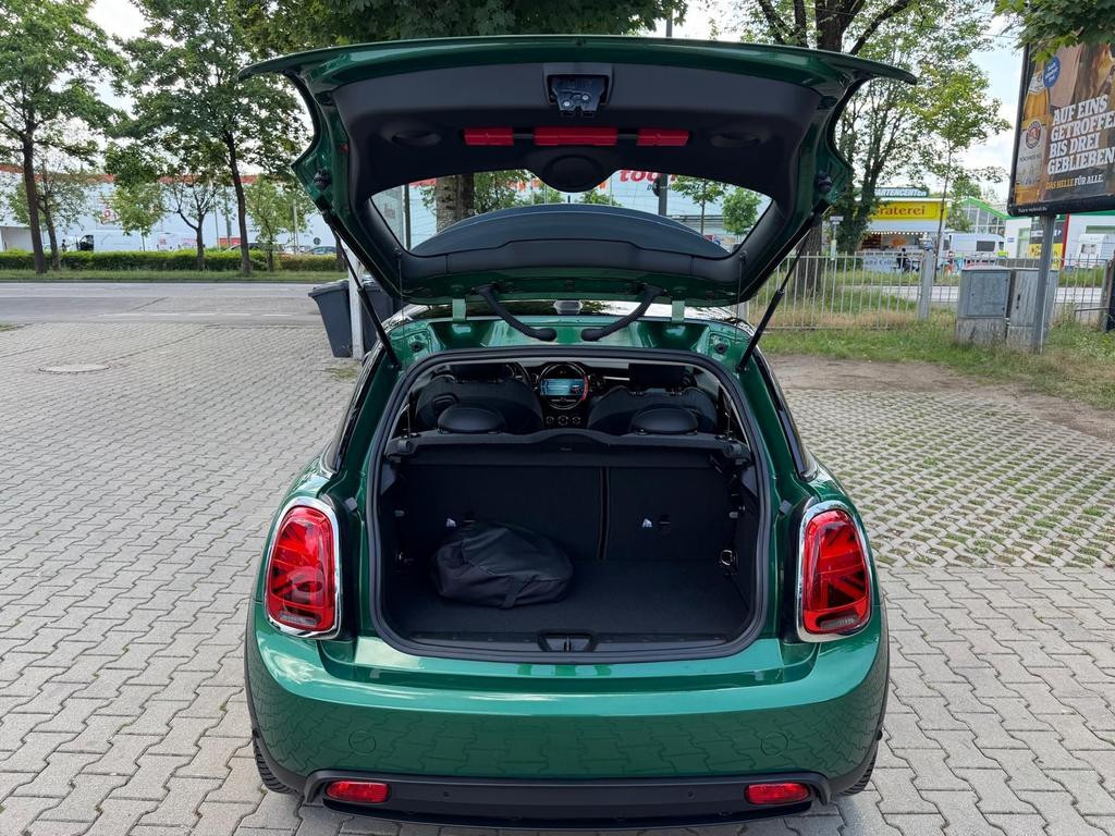 Mini Mini Electric