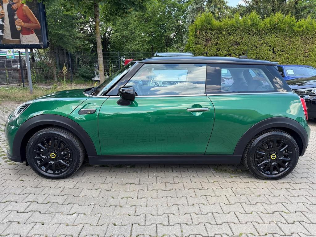 Mini Mini Electric