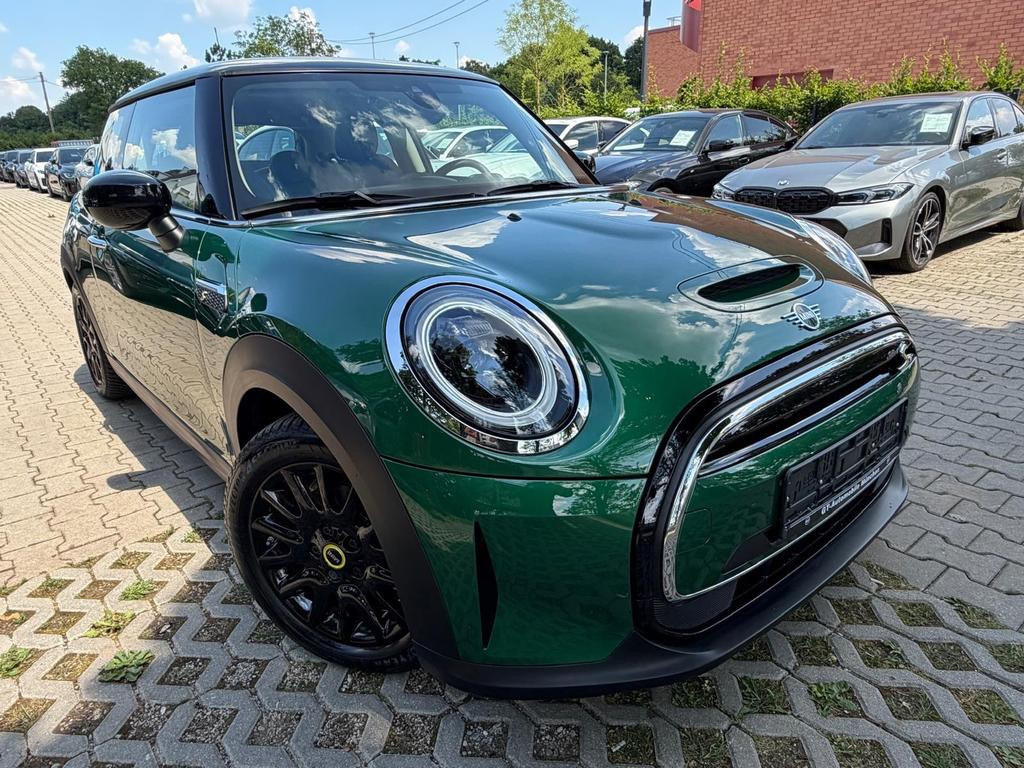 Mini Mini Electric