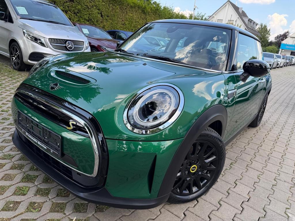 Mini Mini Electric
