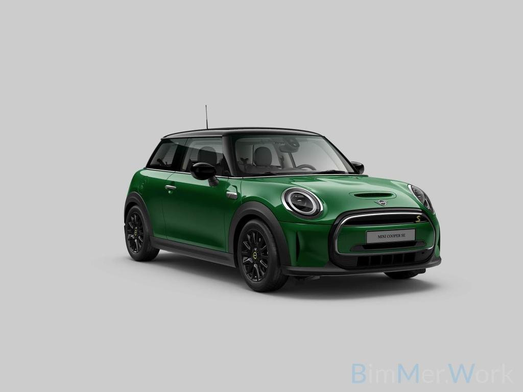 Mini Mini Electric