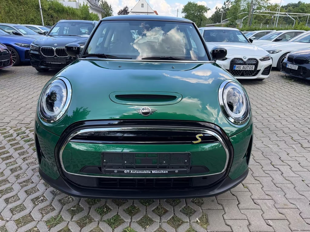 Mini Mini Electric
