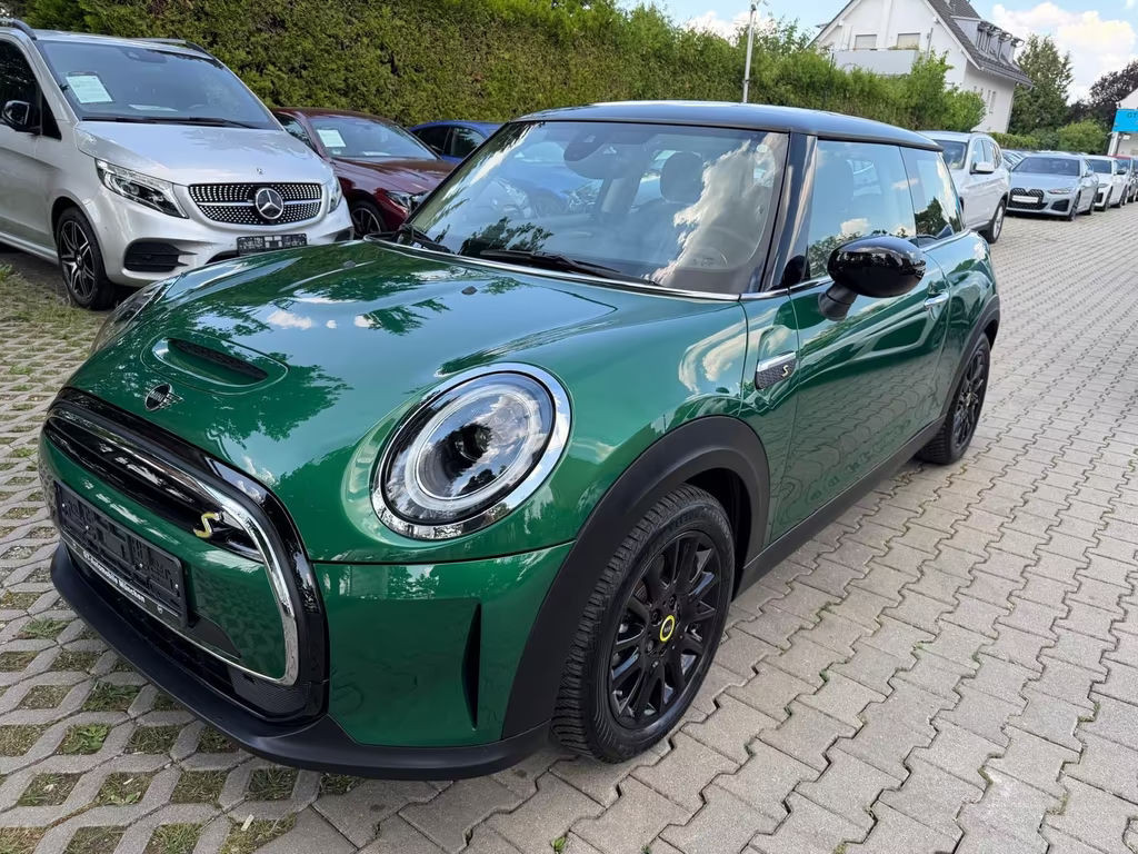 Mini Mini Electric