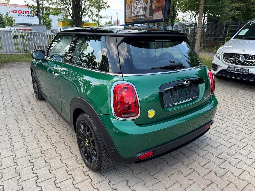 Mini Mini Electric