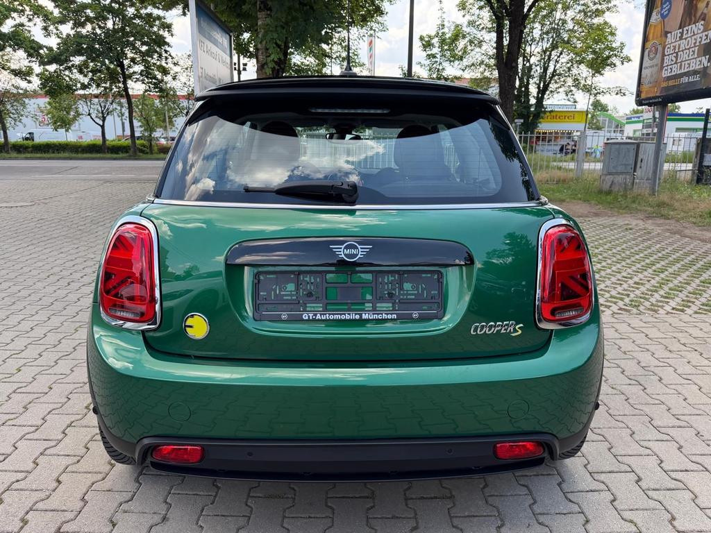 Mini Mini Electric