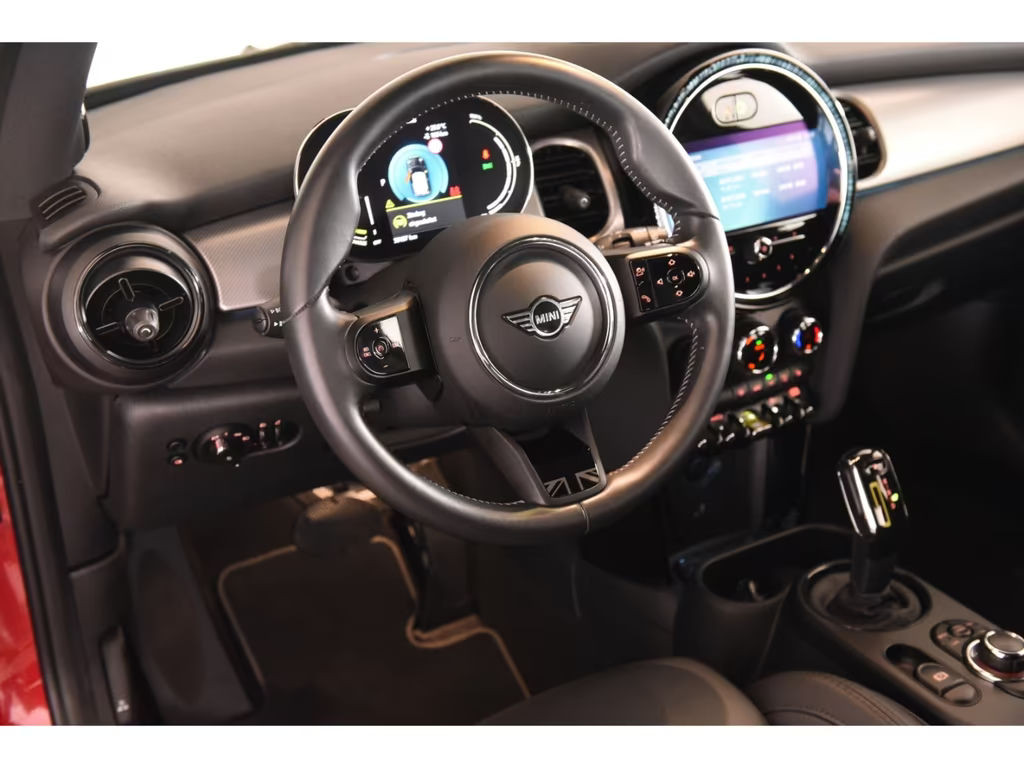 Mini Mini Electric