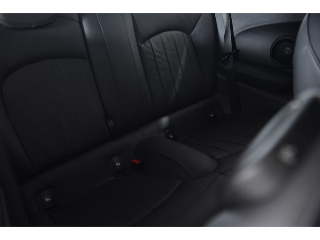Mini Mini Electric