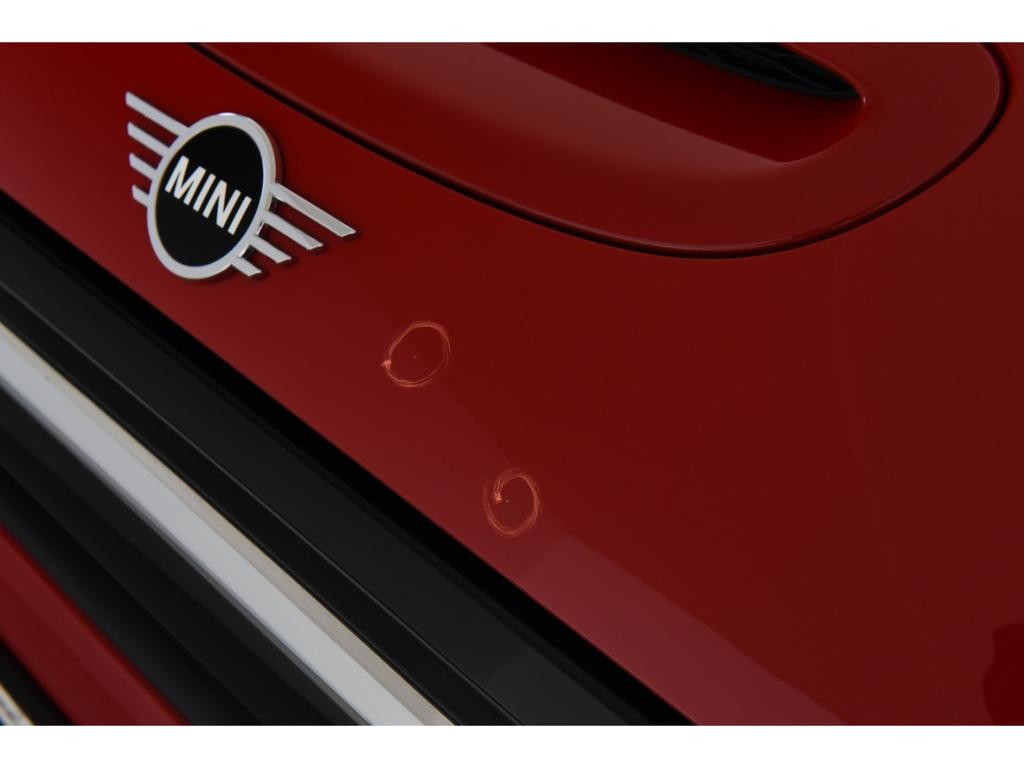 Mini Mini Electric