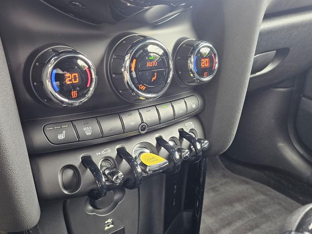 Mini Mini Electric