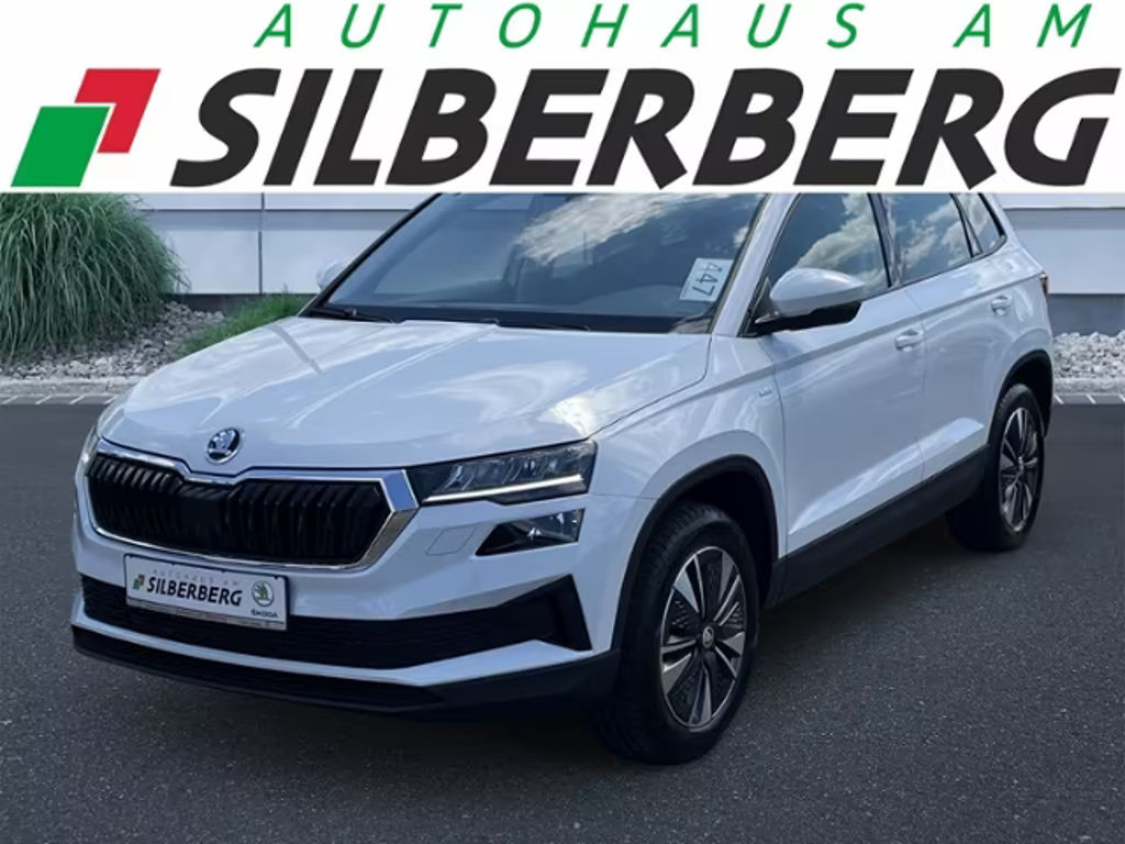 Skoda Karoq 4x4 2.0 TDI