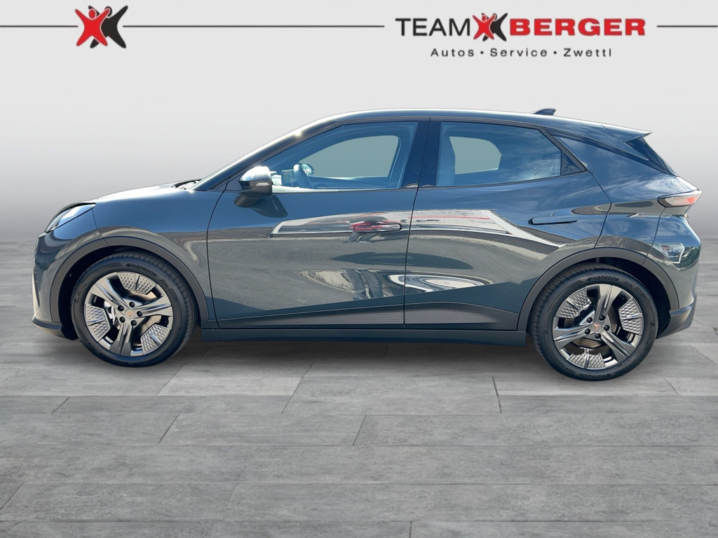 Cupra Raval