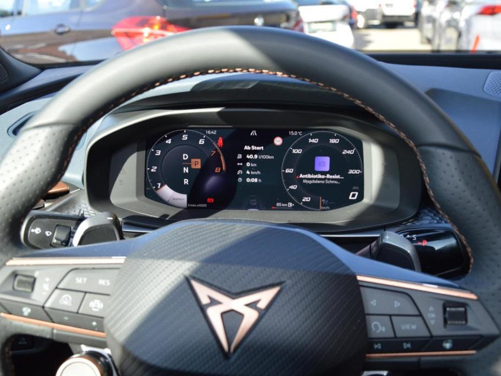 Cupra Terramar