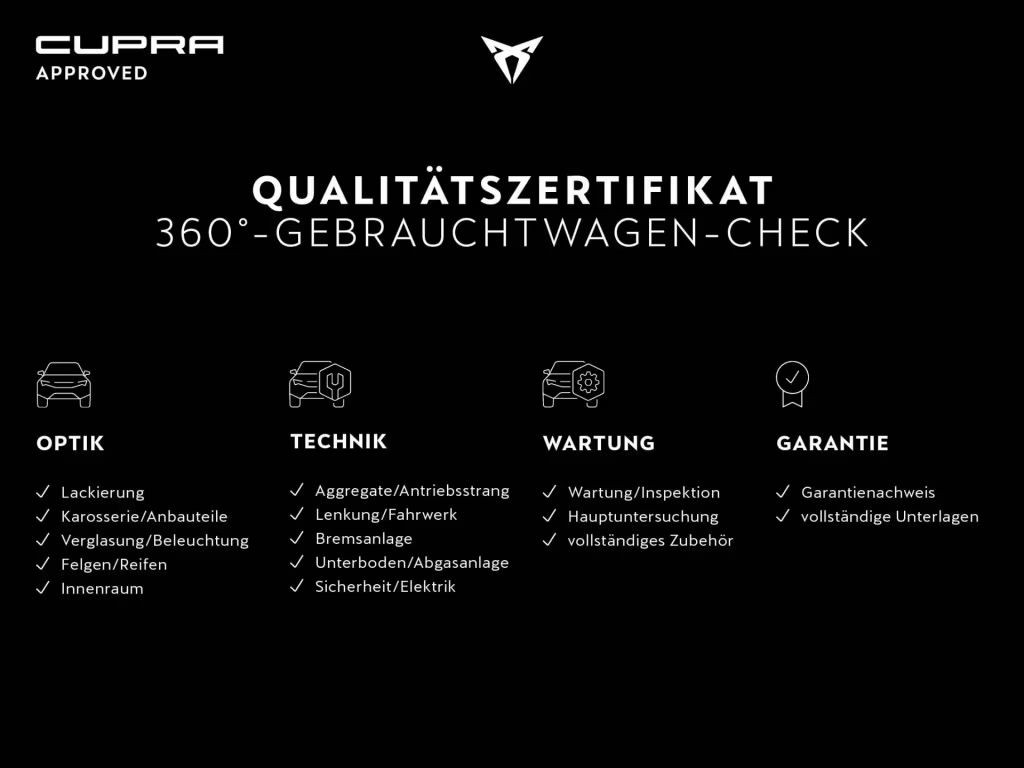 Cupra Raval
