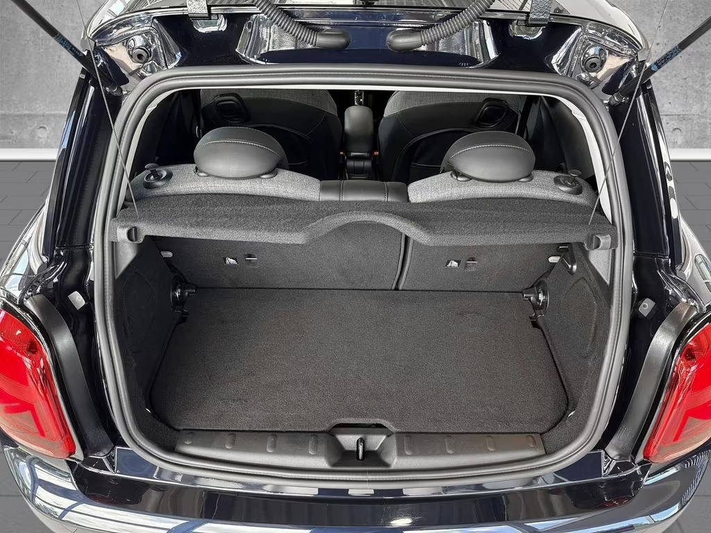 Mini Mini Electric