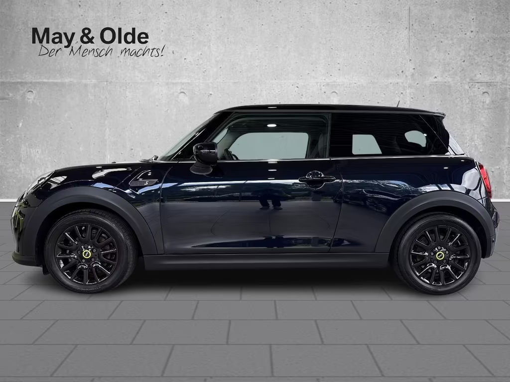Mini Mini Electric