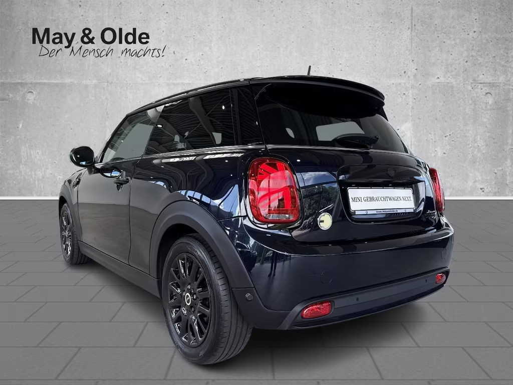 Mini Mini Electric