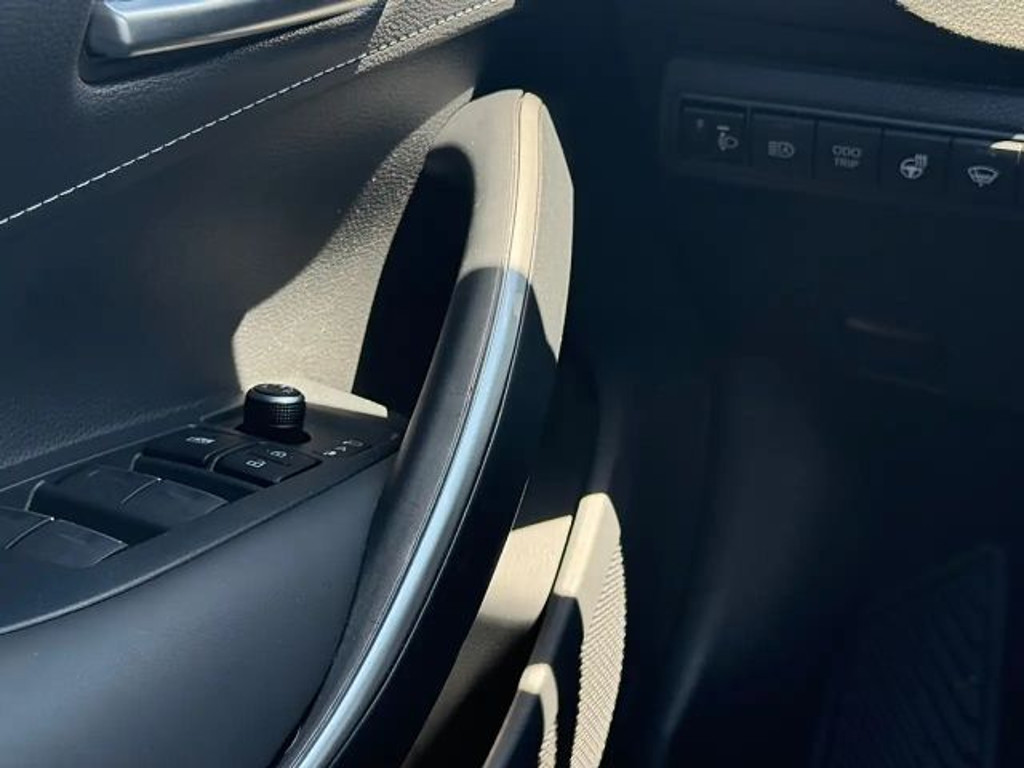 Suzuki Swace