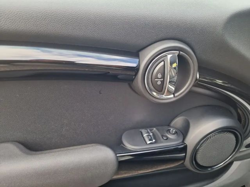 Mini Mini Electric