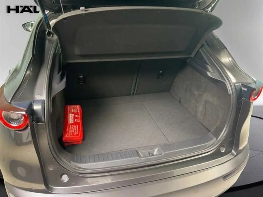 Mazda CX-30 2.0 Automatik Kamera Sitzheizung LED Navi