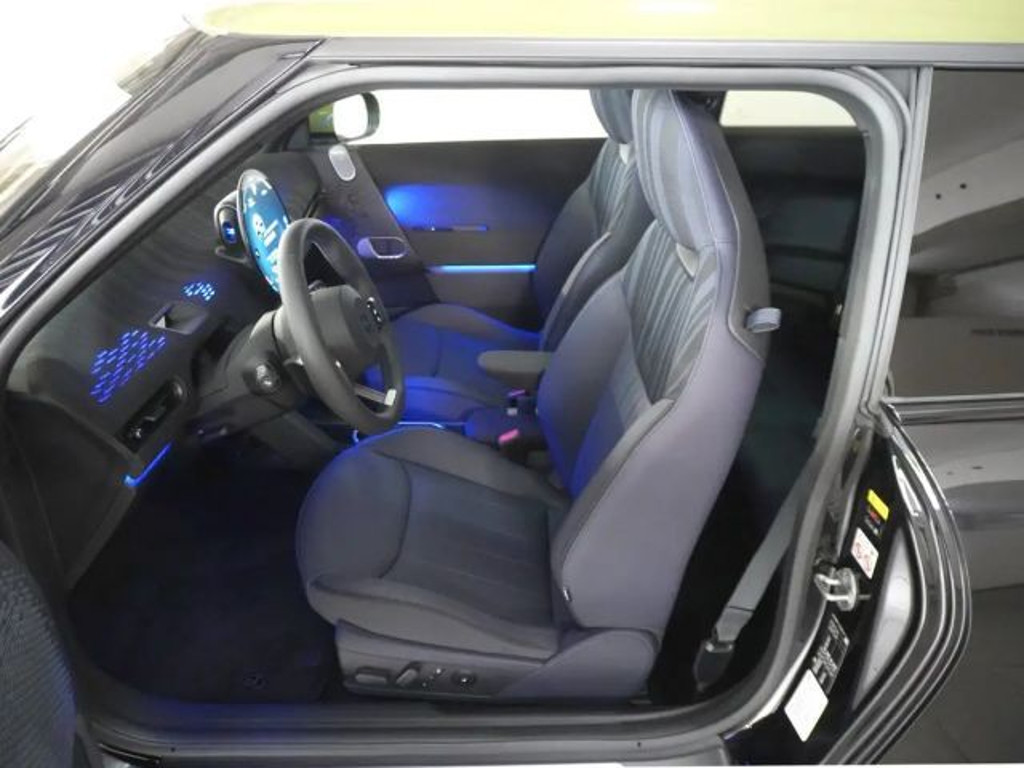 Mini Mini Electric