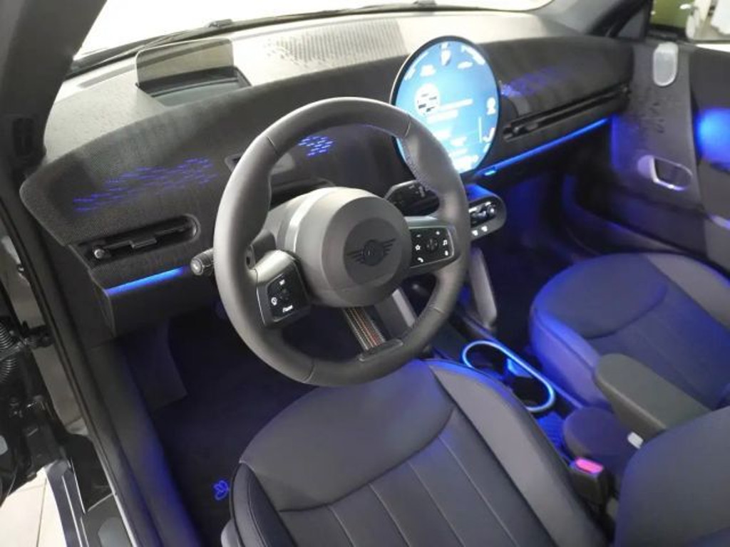 Mini Mini Electric