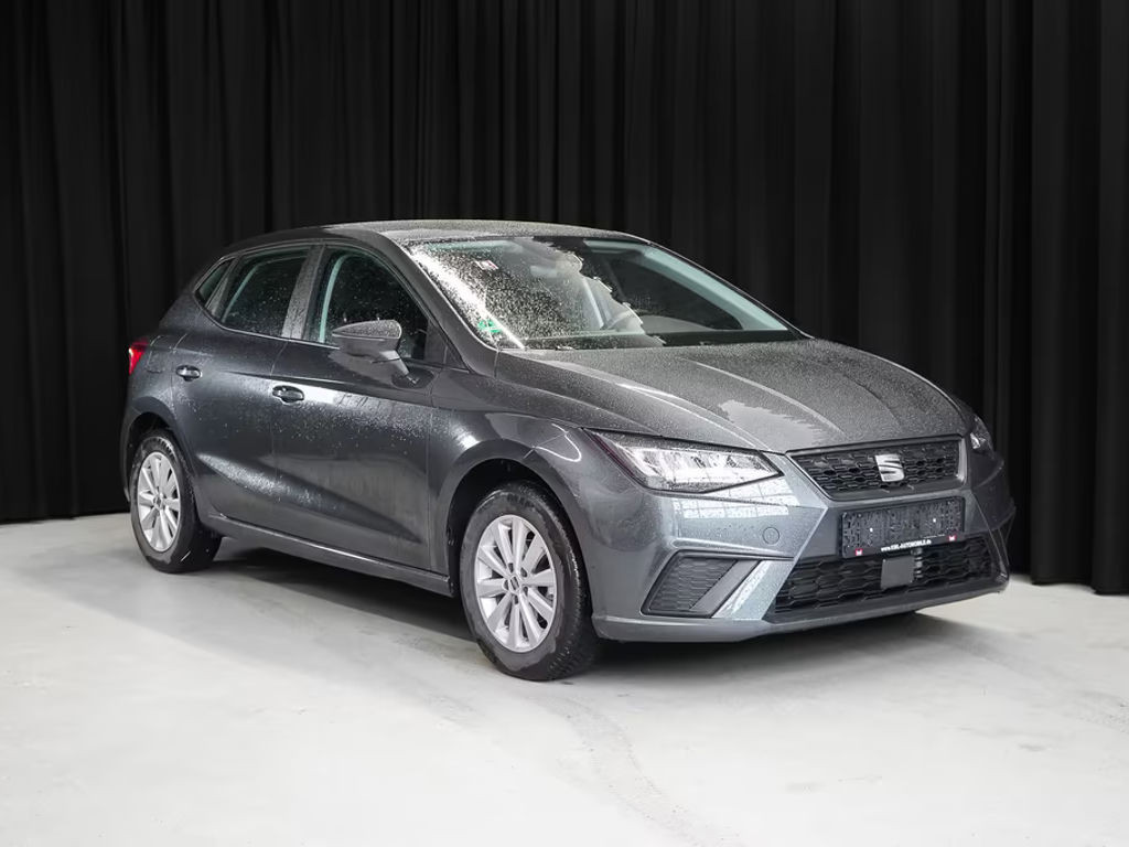 Seat Ibiza Style