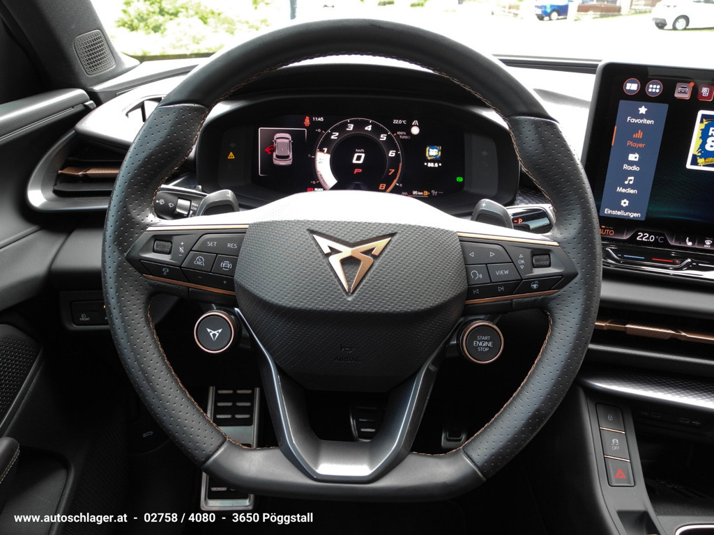 Cupra Terramar