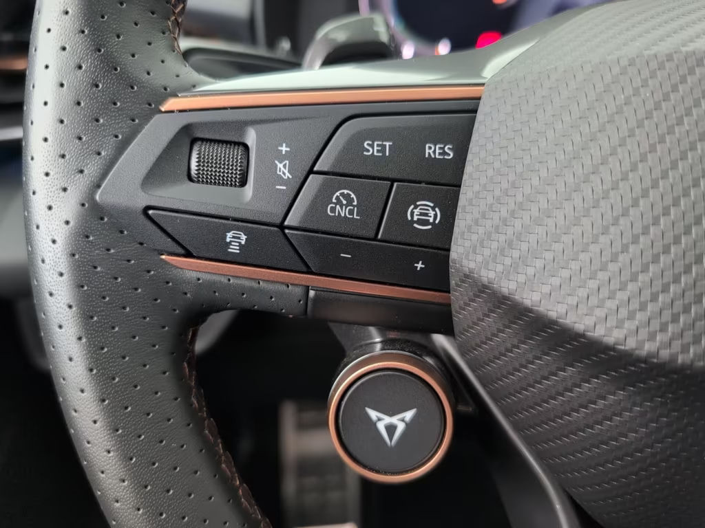 Cupra Terramar