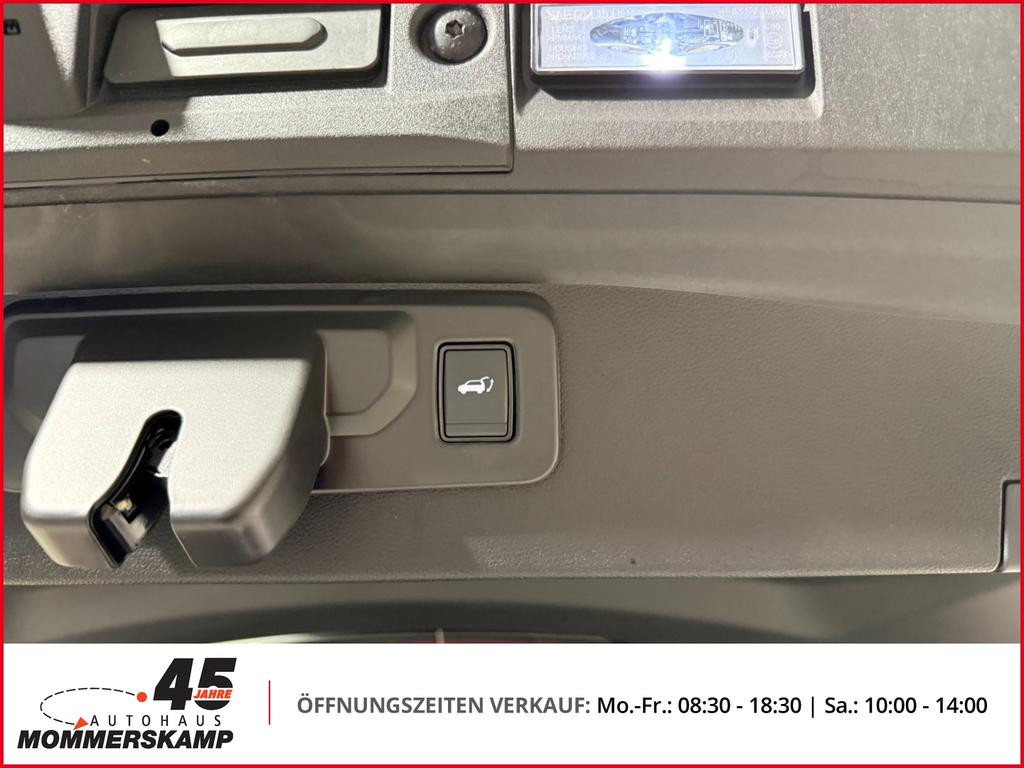 Mitsubishi Grandis