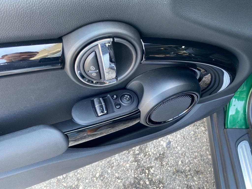 Mini Mini Electric