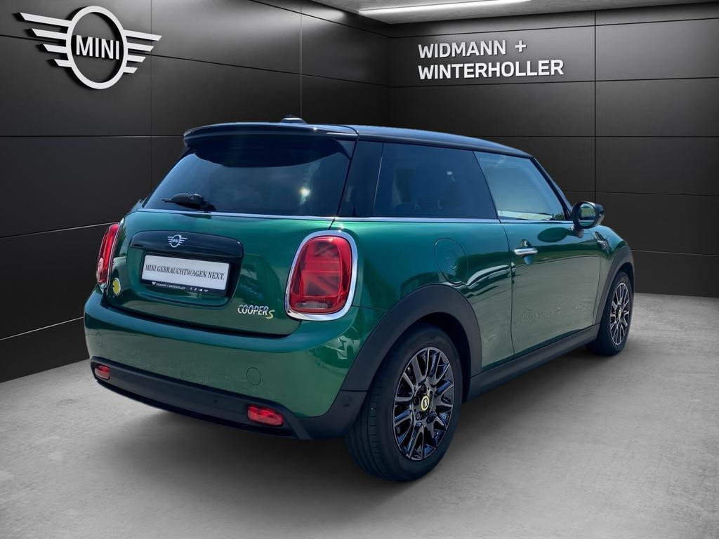Mini Mini Electric