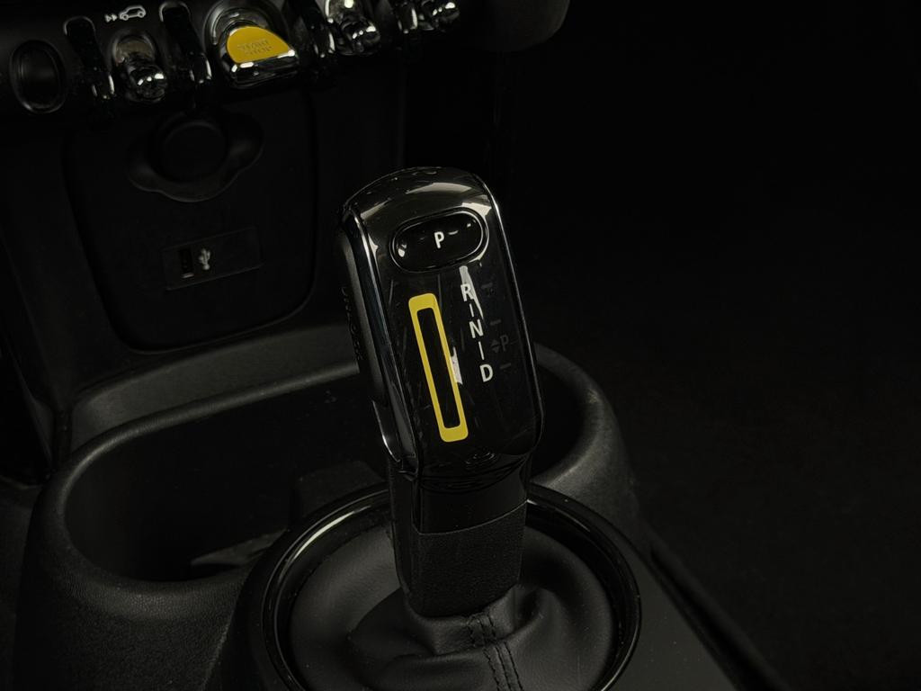 Mini Mini Electric
