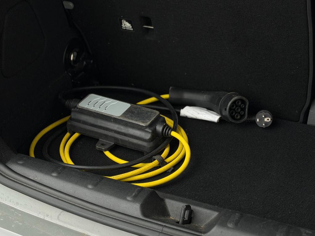 Mini Mini Electric