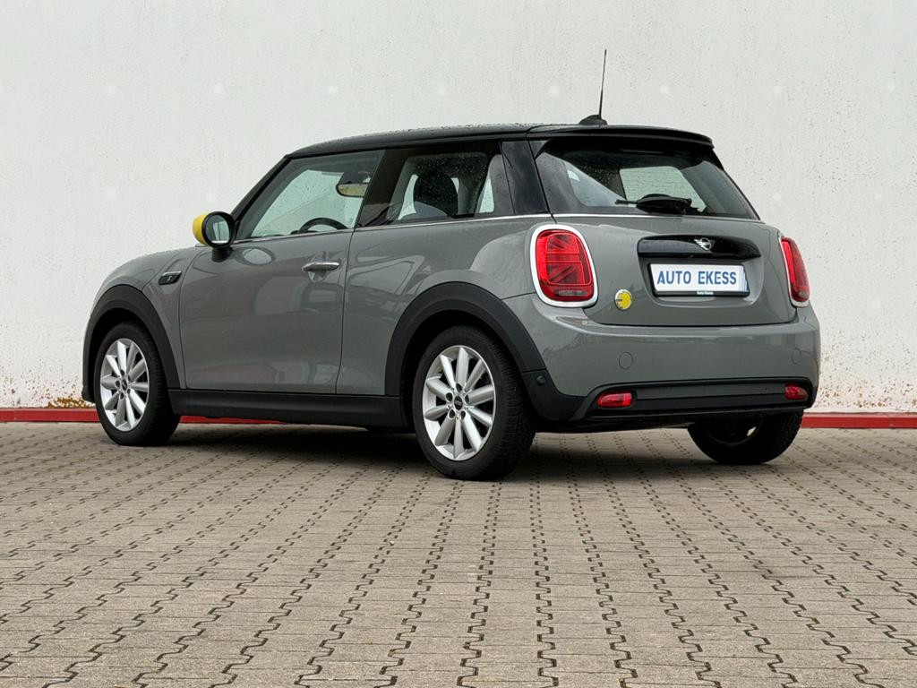 Mini Mini Electric