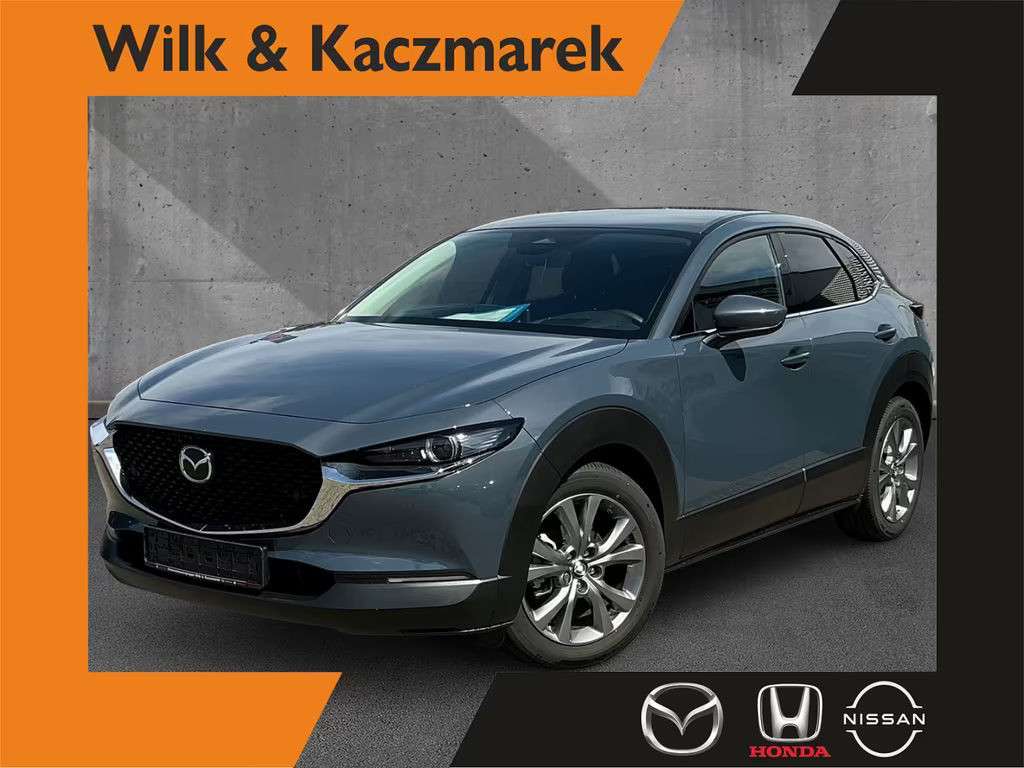 Mazda CX-30 2.5 GS Center-Line Design Matrix Navi Cam