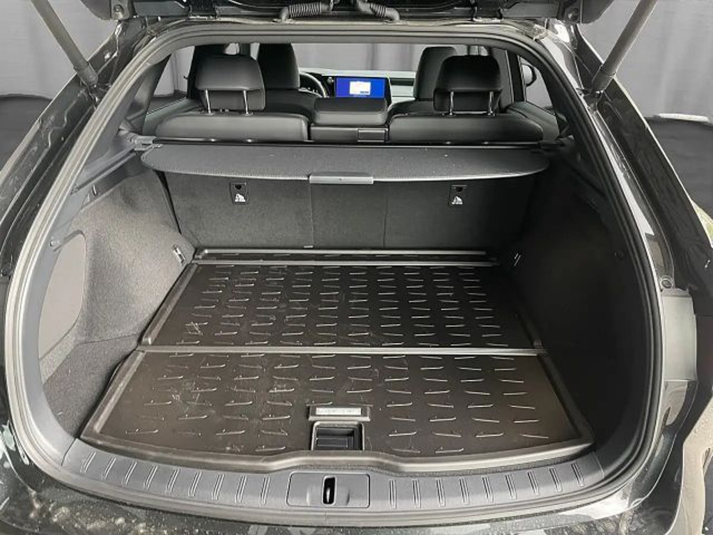 Lexus RX-Serie