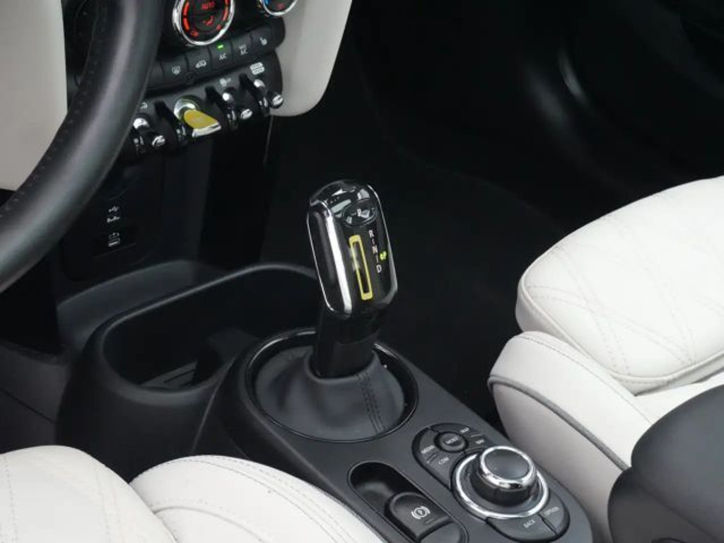 Mini Mini Electric