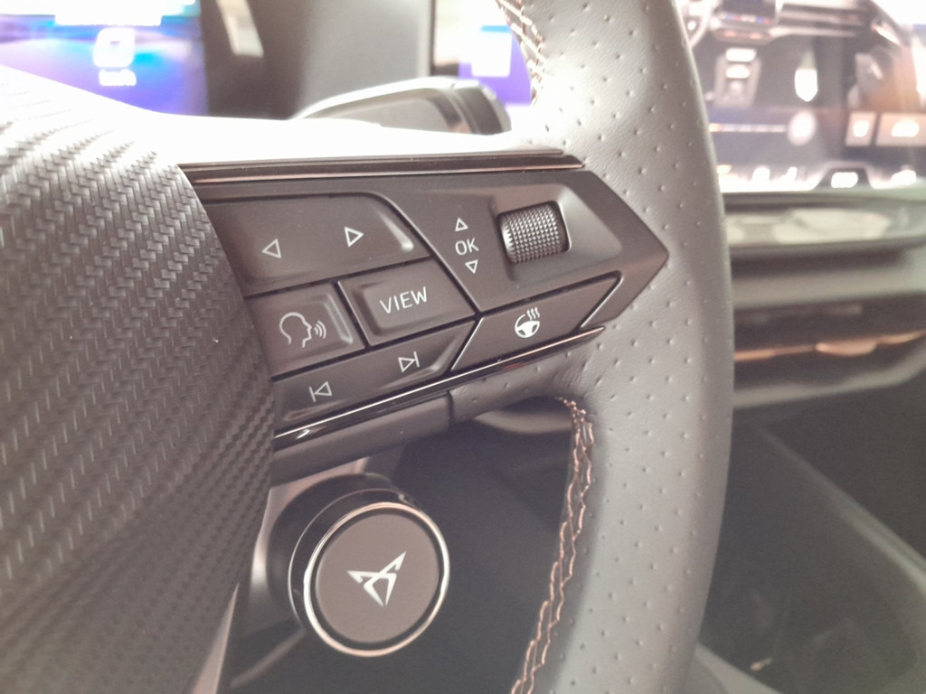 Cupra Raval