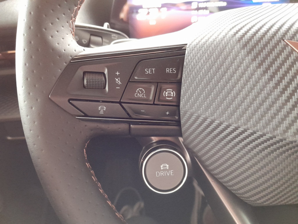Cupra Raval