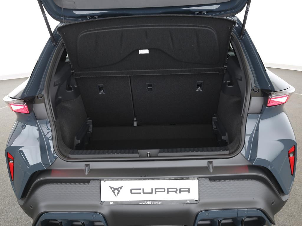 Cupra Raval