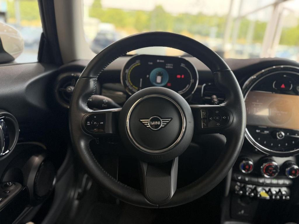 Mini Mini Electric