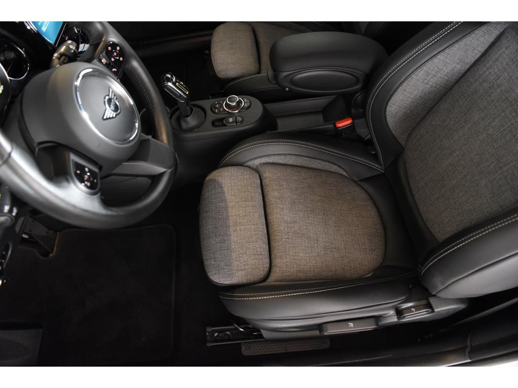 Mini Mini Electric